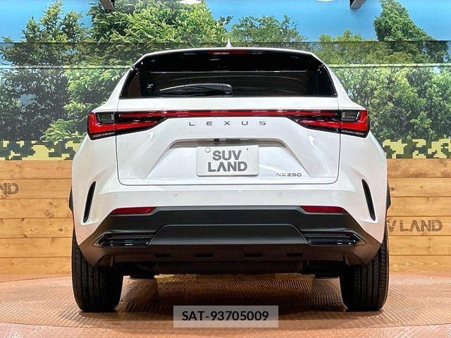 Lexus NX 2023-08 8100149-14