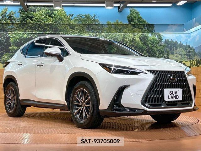 Lexus NX 2023-08 8100149-15