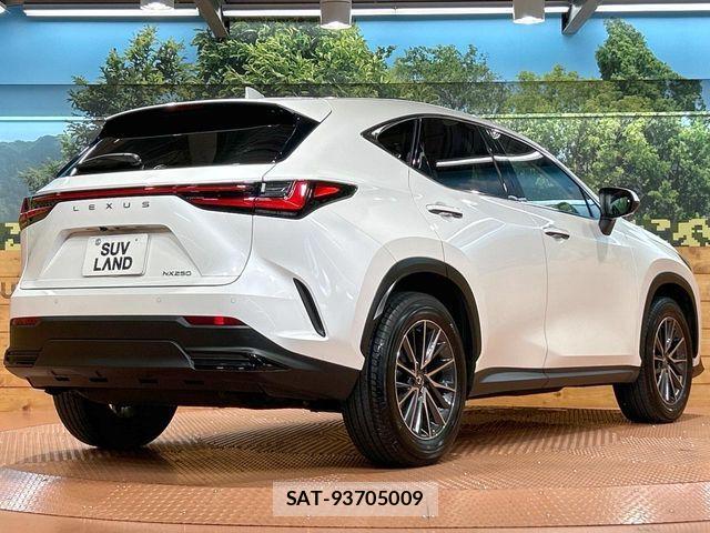 Lexus NX 2023-08 8100149-16