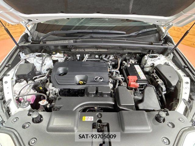 Lexus NX 2023-08 8100149-17