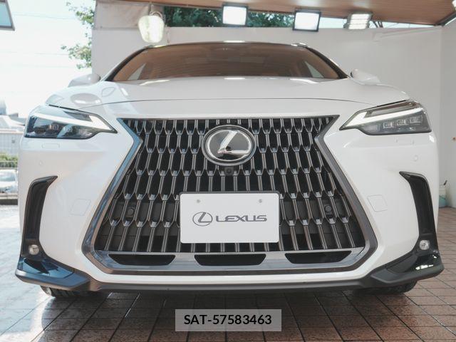 Lexus NX 2022-07 8131020-9