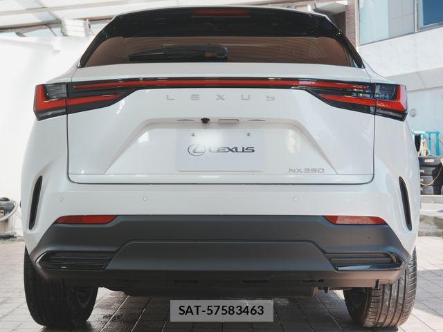 Lexus NX 2022-07 8131020-10
