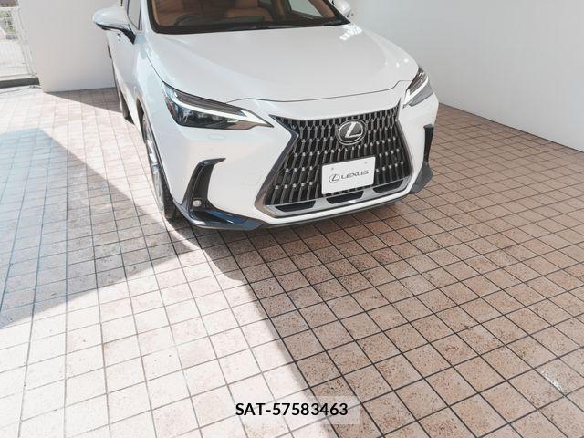 Lexus NX 2022-07 8131020-11
