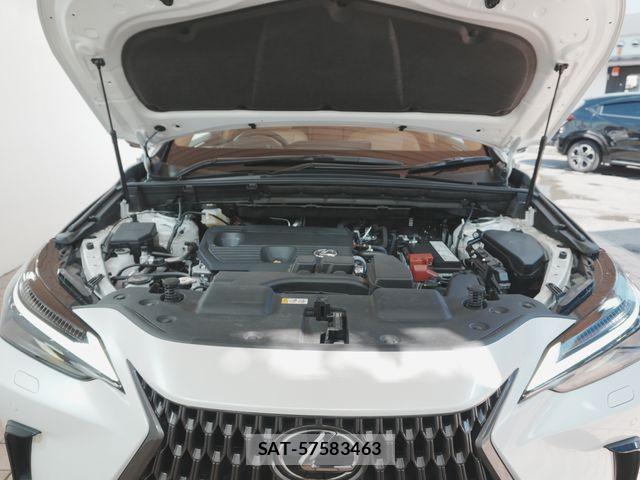 Lexus NX 2022-07 8131020-13