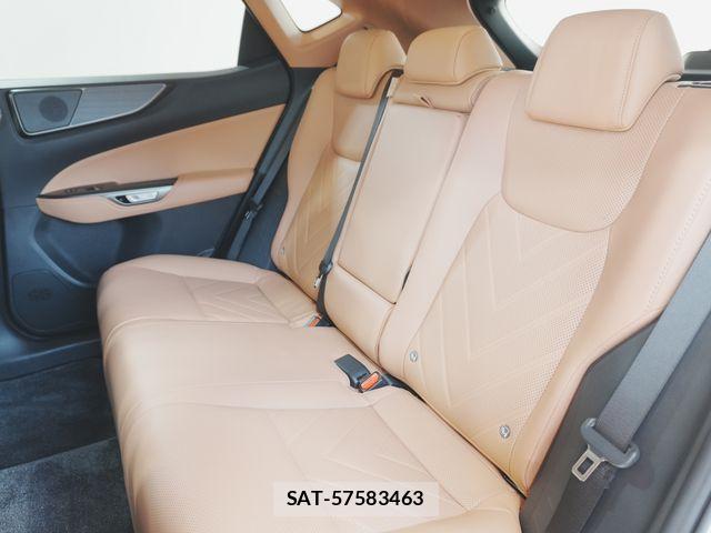 Lexus NX 2022-07 8131020-18