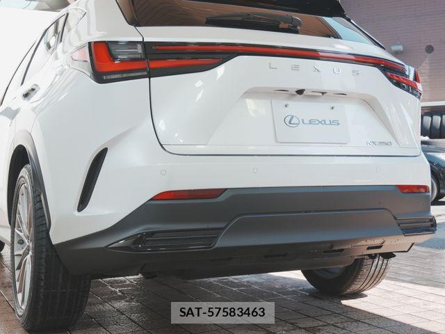 Lexus NX 2022-07 8131020-23