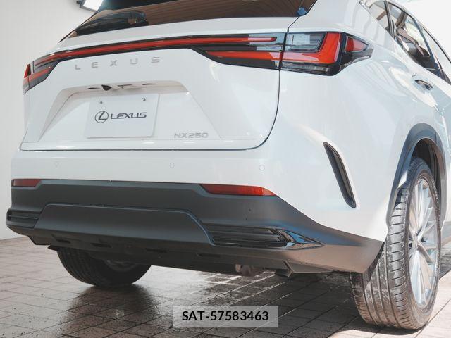 Lexus NX 2022-07 8131020-24