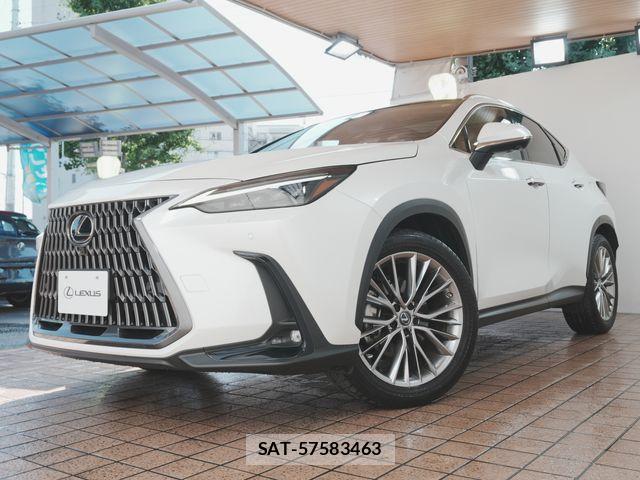 Lexus NX 2022-07 8131020-25