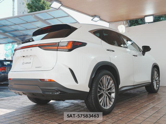 Lexus NX 2022-07 8131020-26
