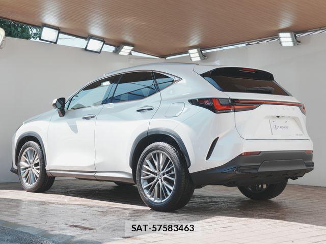 Lexus NX 2022-07 8131020-27