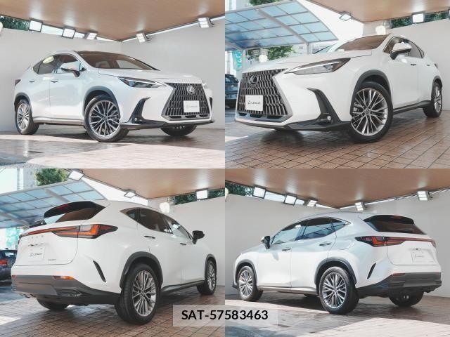 Lexus NX 2022-07 8131020-2