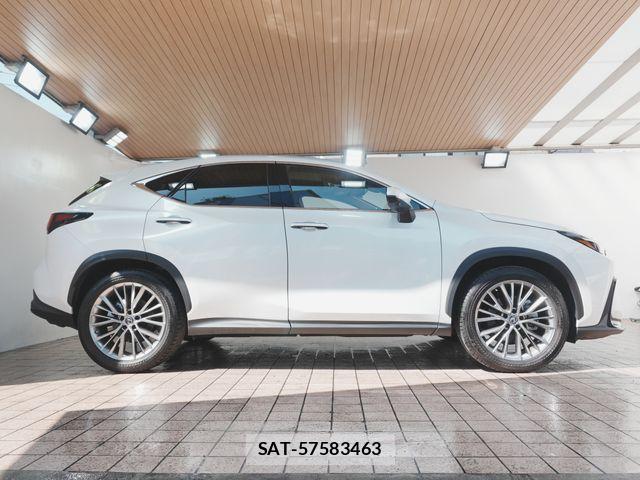 Lexus NX 2022-07 8131020-7