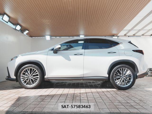 Lexus NX 2022-07 8131020-8