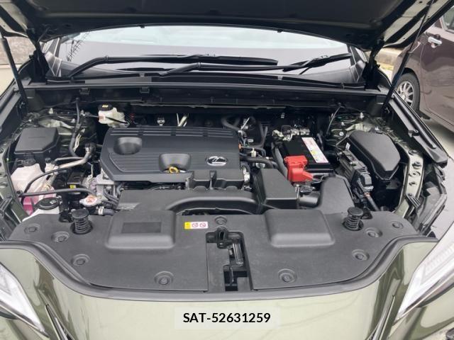Lexus NX 2023-04 8245733-12
