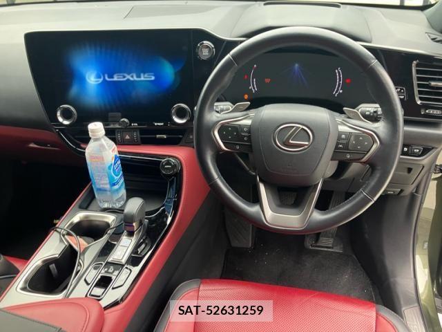 Lexus NX 2023-04 8245733-18