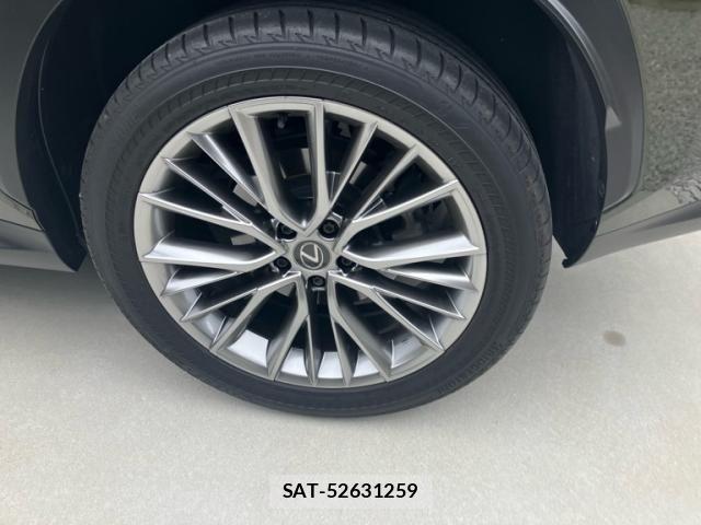Lexus NX 2023-04 8245733-5