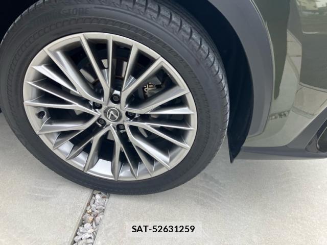 Lexus NX 2023-04 8245733-7