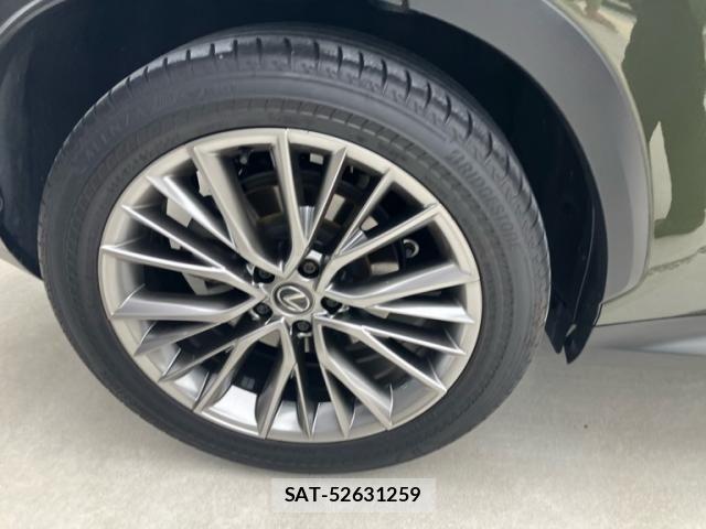 Lexus NX 2023-04 8245733-8