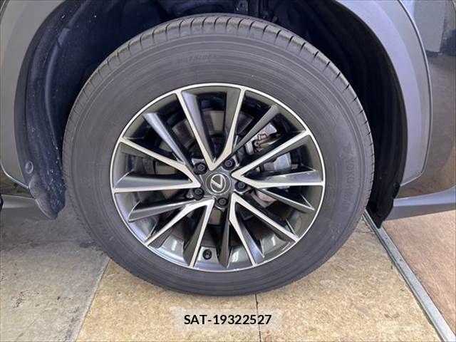 Lexus NX 2024-03 8245732-13