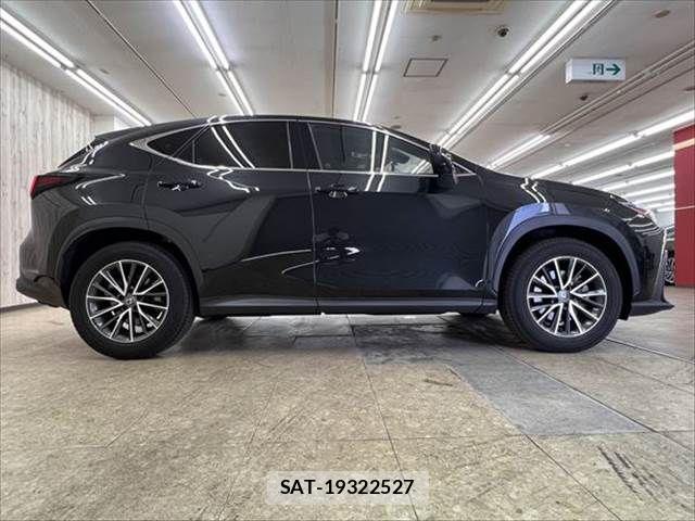 Lexus NX 2024-03 8245732-16
