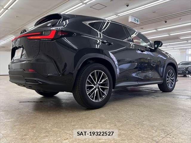 Lexus NX 2024-03 8245732-18