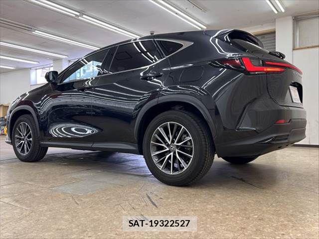 Lexus NX 2024-03 8245732-19