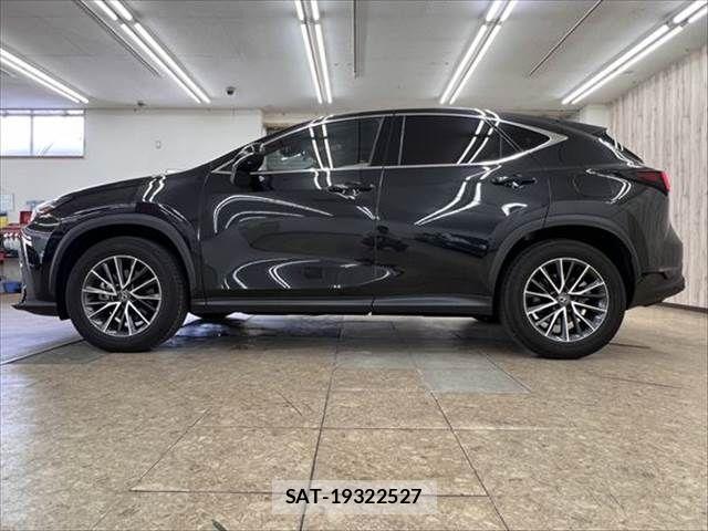 Lexus NX 2024-03 8245732-20