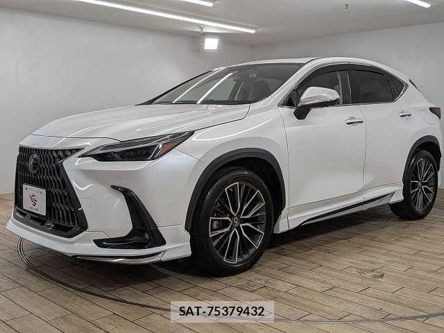 Lexus NX 2023-03 8245731-14