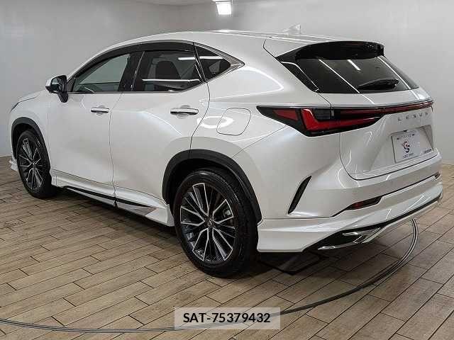 Lexus NX 2023-03 8245731-16