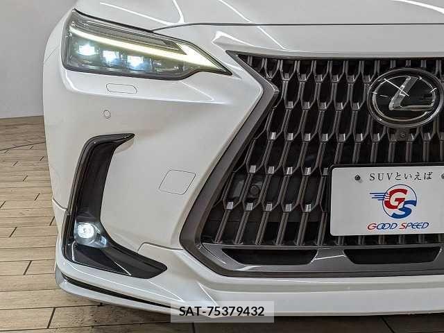 Lexus NX 2023-03 8245731-18