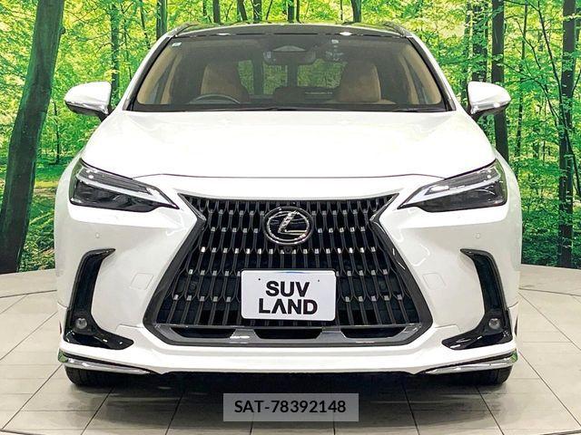 Lexus NX 2022-06 8336573-15