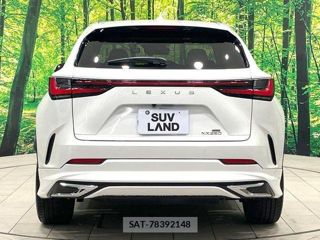 Lexus NX 2022-06 8336573-16