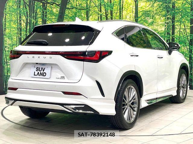 Lexus NX 2022-06 8336573-17