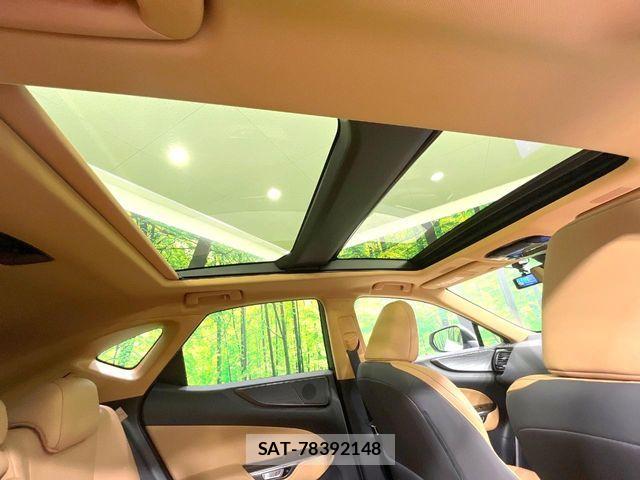 Lexus NX 2022-06 8336573-3