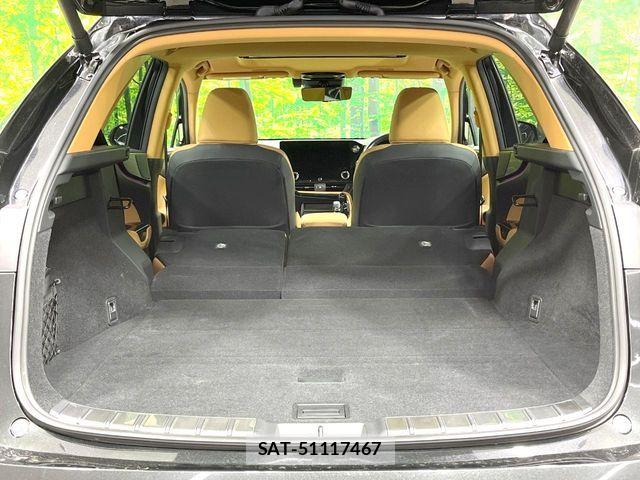 Lexus NX 2023-03 8438355-9