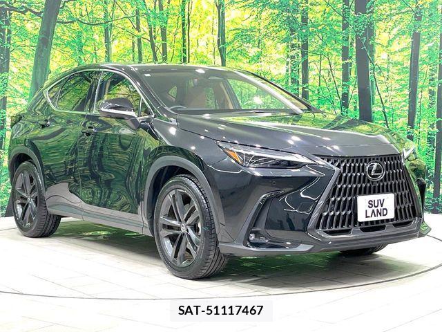 Lexus NX 2023-03 8438355-13