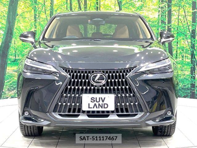 Lexus NX 2023-03 8438355-15