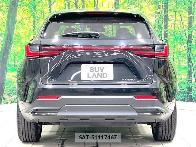 Lexus NX 2023-03 8438355-16