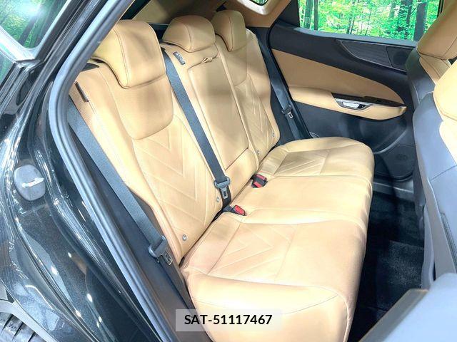 Lexus NX 2023-03 8438355-8