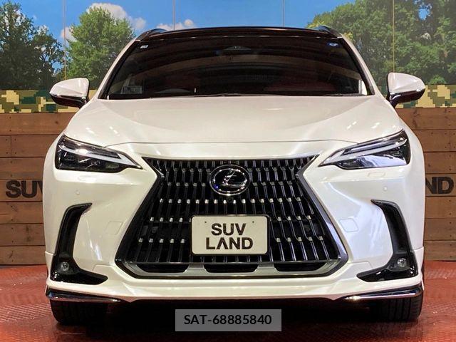 Lexus NX 2023-03 8457810-13
