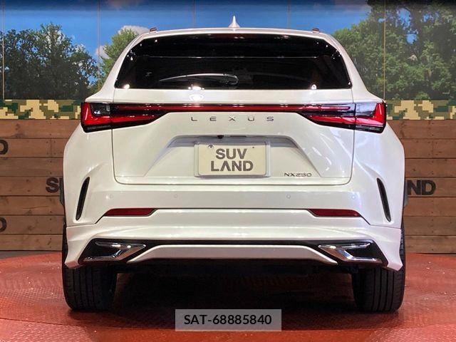 Lexus NX 2023-03 8457810-14