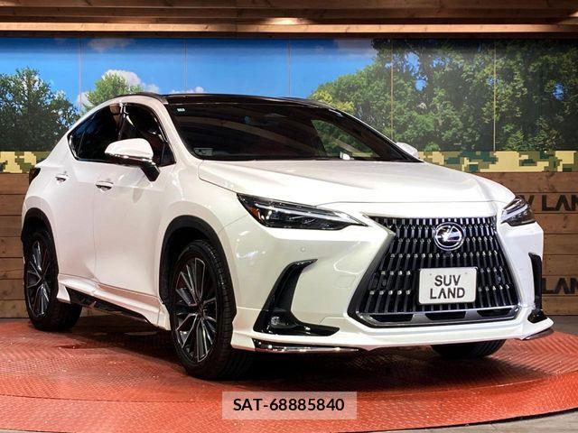 Lexus NX 2023-03 8457810-15