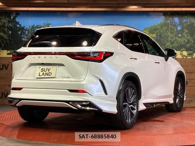 Lexus NX 2023-03 8457810-16