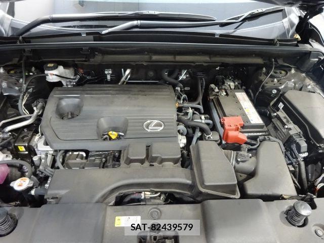 Lexus NX 2023-08 8525565-18