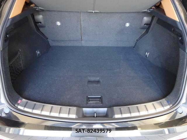 Lexus NX 2023-08 8525565-19