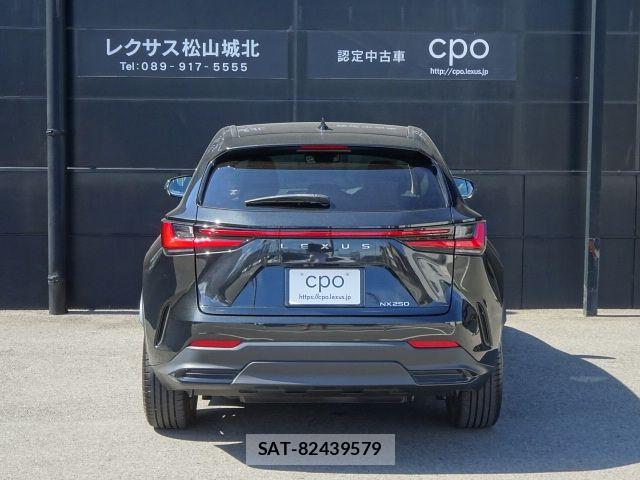 Lexus NX 2023-08 8525565-4