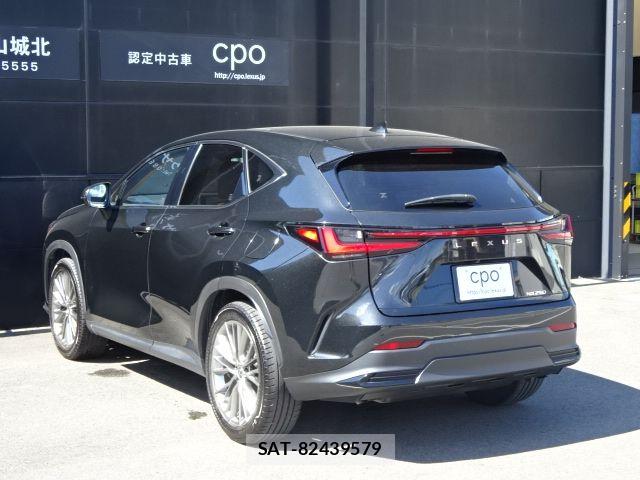 Lexus NX 2023-08 8525565-5
