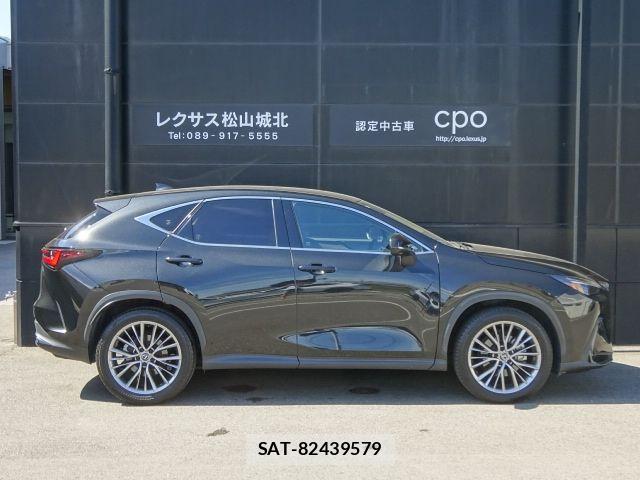 Lexus NX 2023-08 8525565-6