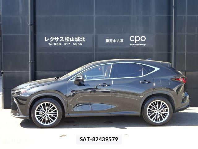 Lexus NX 2023-08 8525565-7