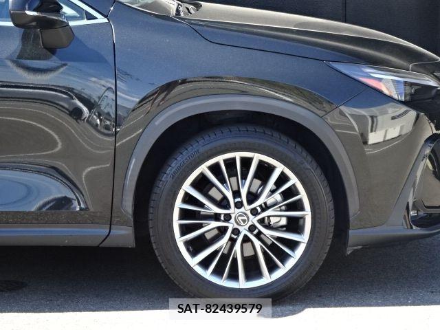 Lexus NX 2023-08 8525565-8